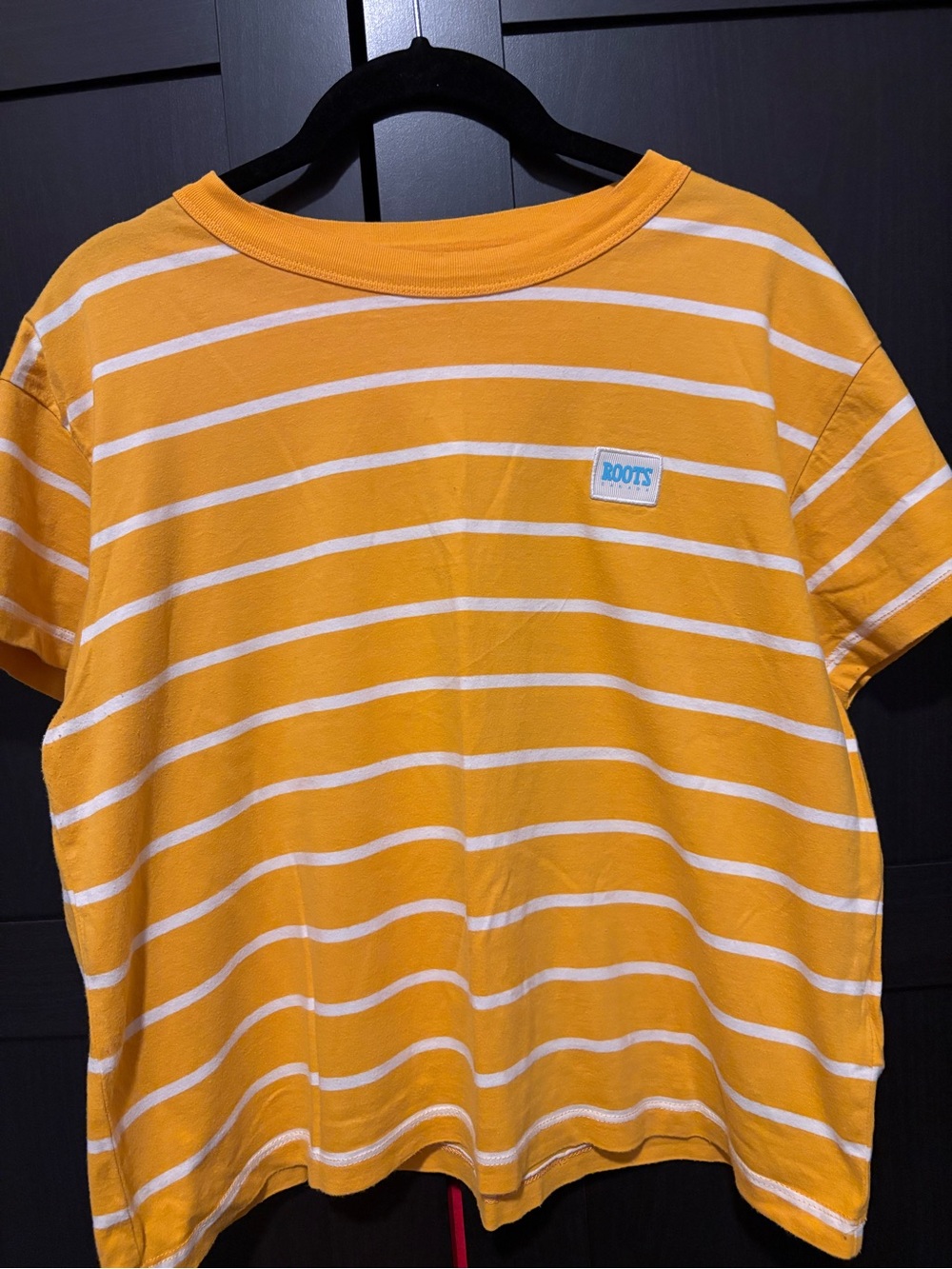 Roots Field T-Shirt in Yellow, size M